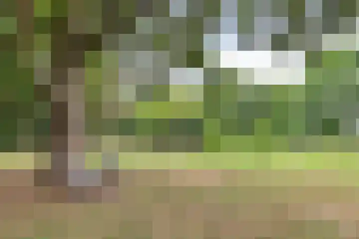 Toverberg 7 Veldhoven thumbnail 53