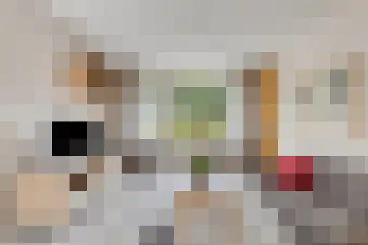 Toverberg 7 Veldhoven thumbnail 6