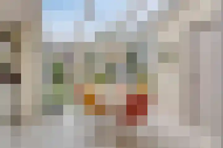 Toverberg 7 Veldhoven thumbnail 9