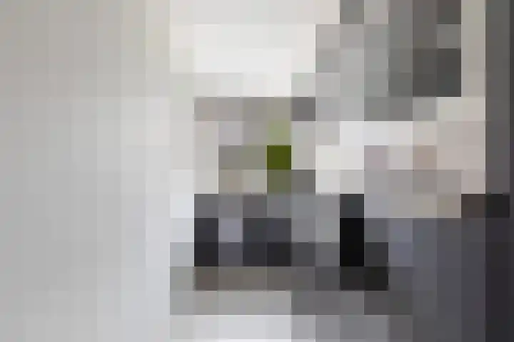 Toverfluitstraat 11 Hoogvliet Rotterdam thumbnail 16