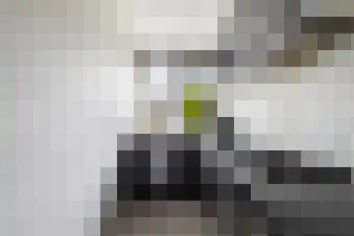 Toverfluitstraat 11 Hoogvliet Rotterdam thumbnail 17