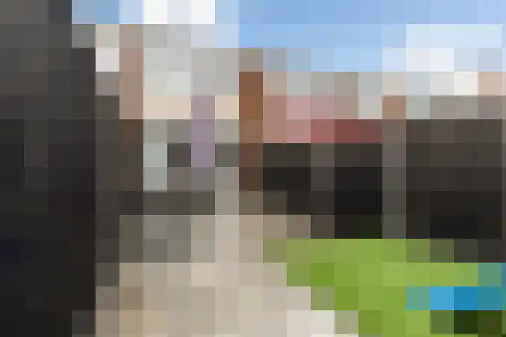 Toverfluitstraat 11 Hoogvliet Rotterdam thumbnail 22