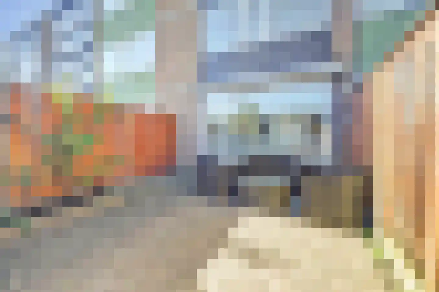 Toverfluitstraat 16 Hoogvliet Rotterdam thumbnail 25