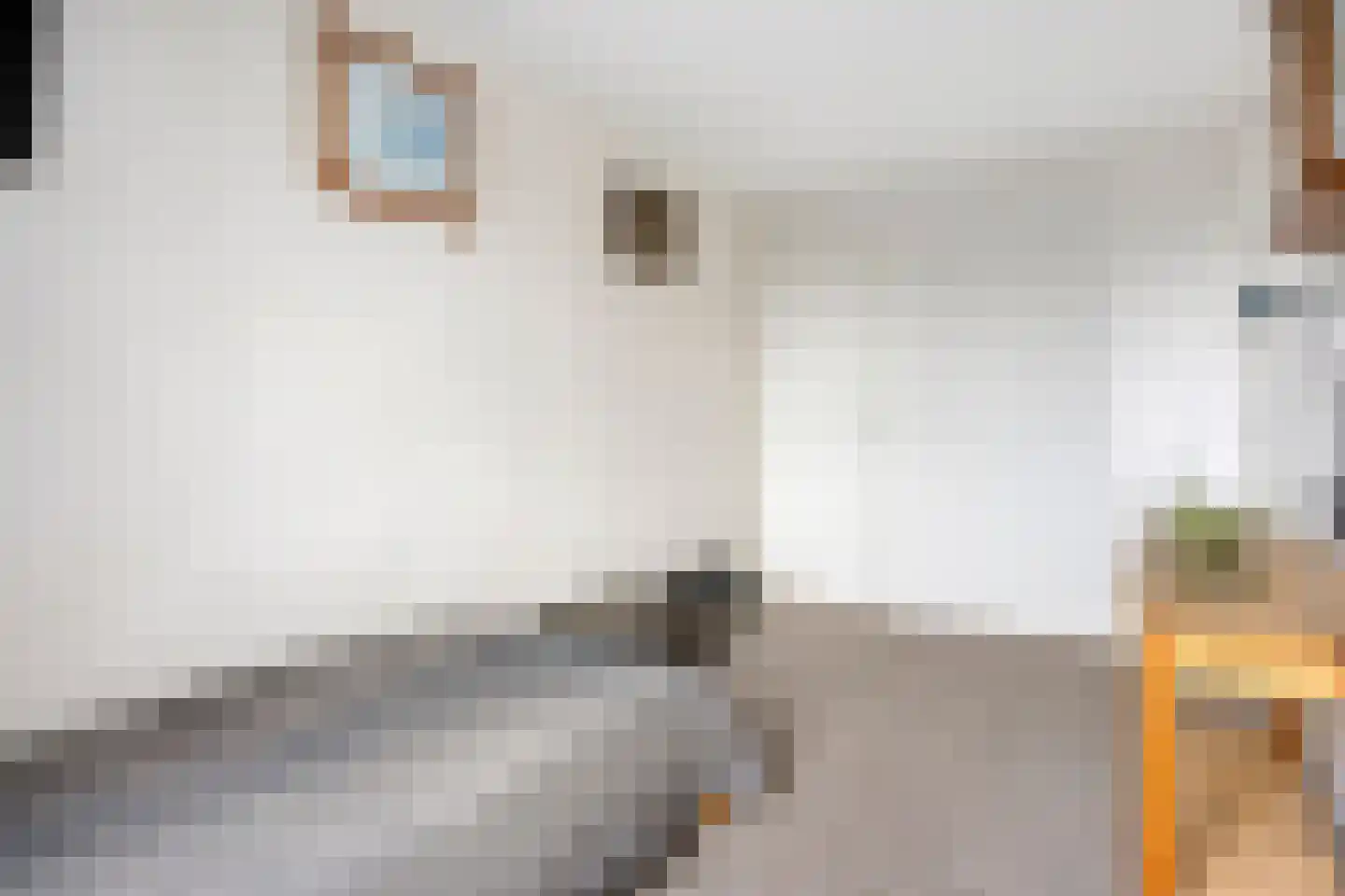 Toverfluitstraat 42 Hoogvliet Rotterdam thumbnail 15