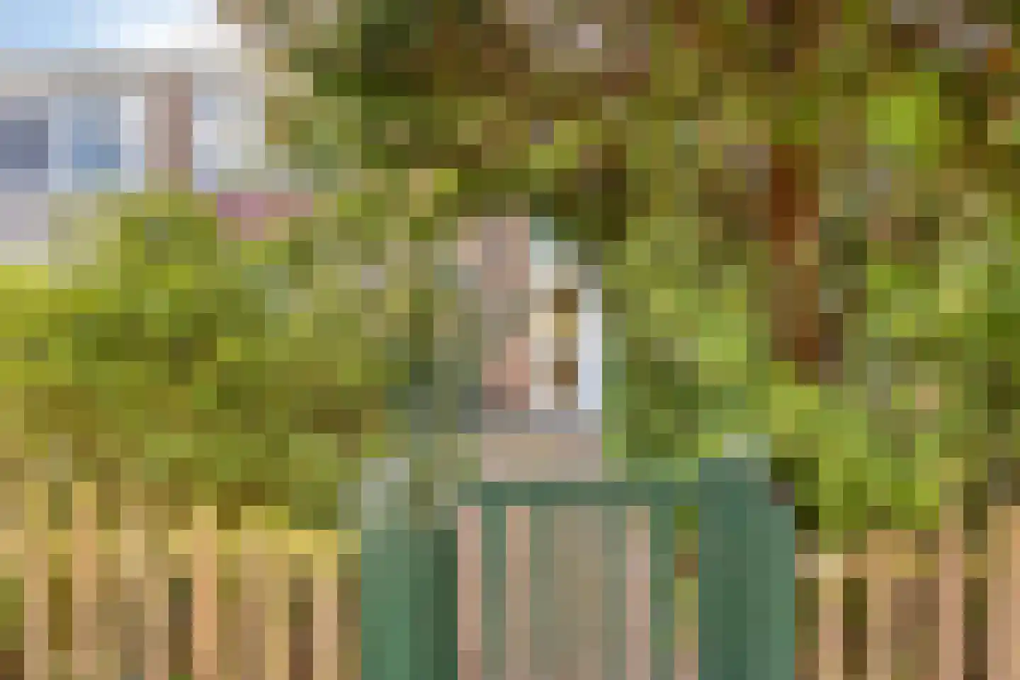 Toverfluitstraat 42 Hoogvliet Rotterdam thumbnail 17