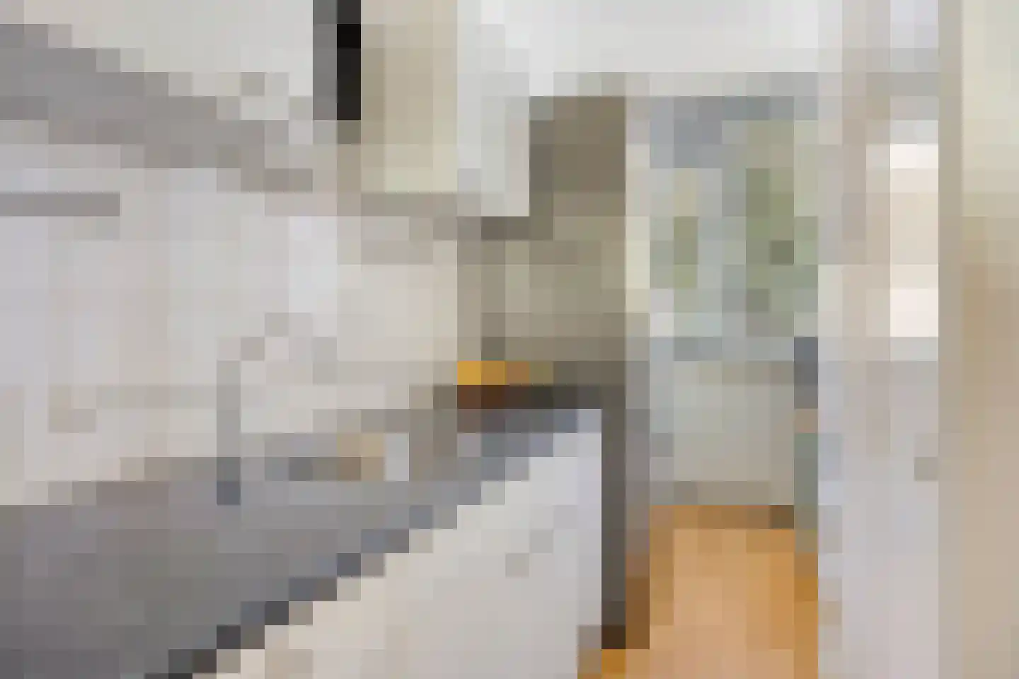 Toverfluitstraat 42 Hoogvliet Rotterdam thumbnail 5