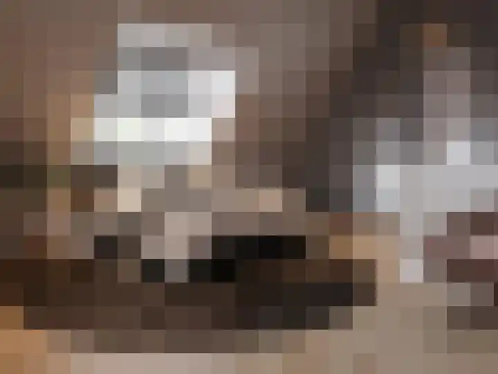 Toverhazelaar 13 Cuijk thumbnail 11