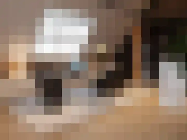 Toverhazelaar 13 Cuijk thumbnail 12