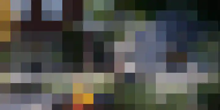 Toverhazelaar 13 Cuijk thumbnail 16