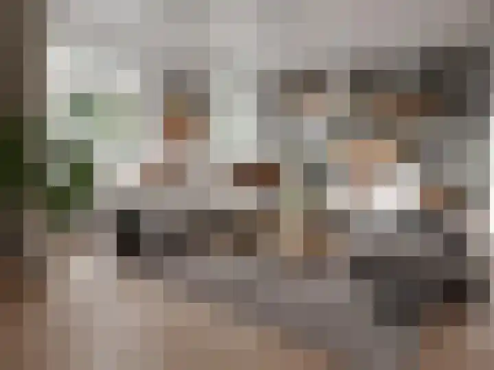 Toverhazelaar 13 Cuijk foto 2