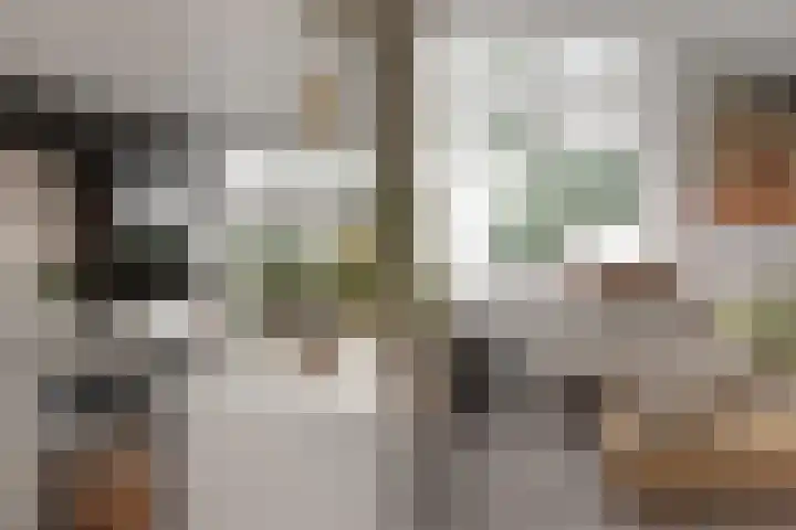 Toverhazelaar 13 Cuijk thumbnail 4