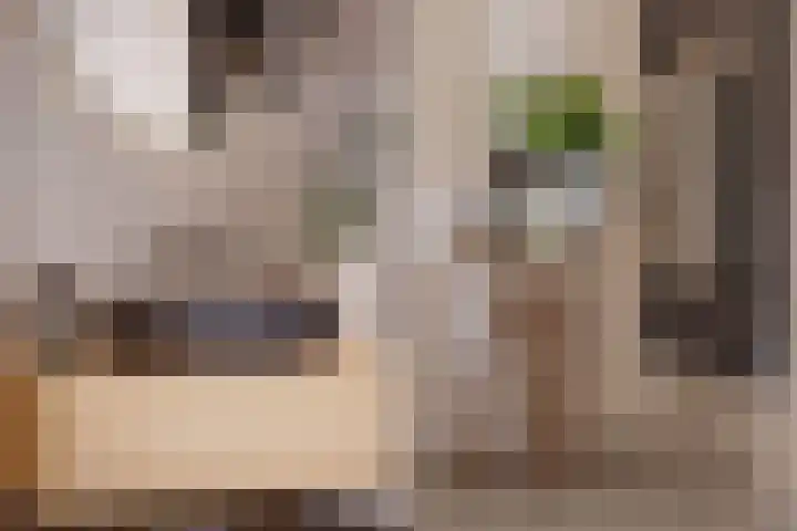 Toverhazelaar 13 Cuijk thumbnail 8