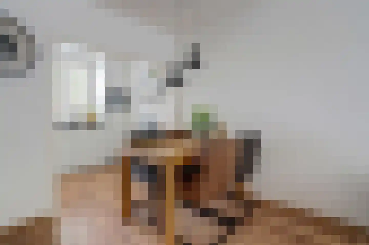 Toverse Beek 14 Tilburg thumbnail 11
