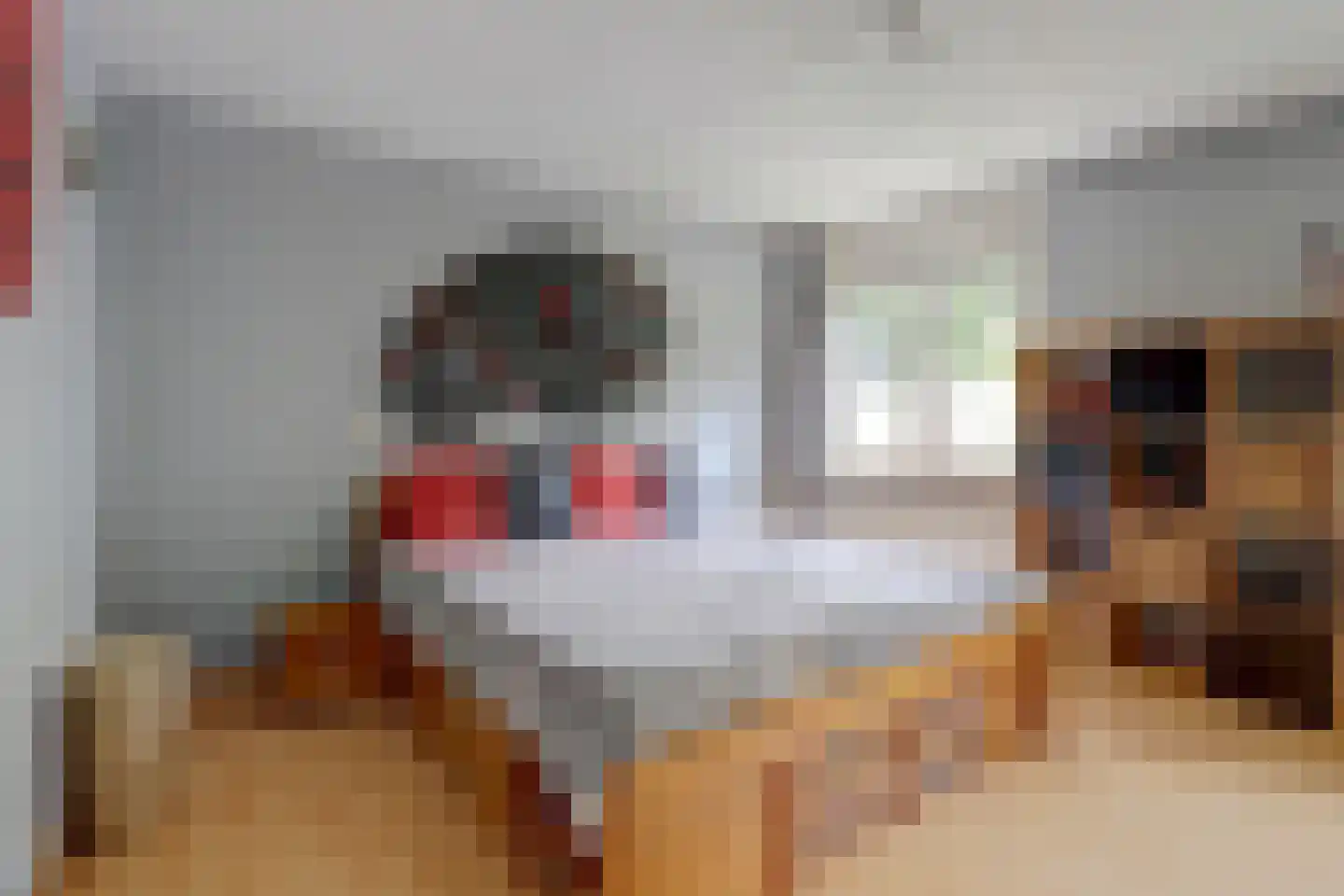 Toverse Beek 14 Tilburg thumbnail 15