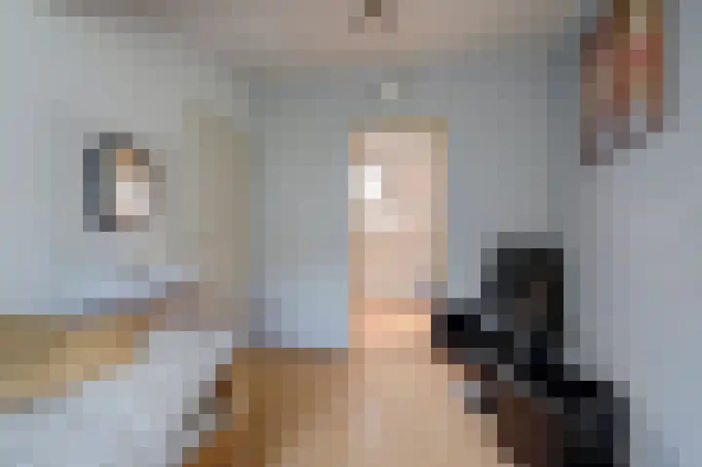 Toverse Beek 14 Tilburg thumbnail 23