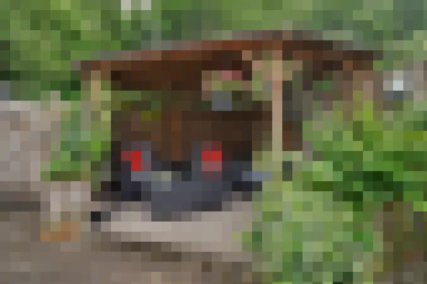 Toverse Beek 14 Tilburg thumbnail 27