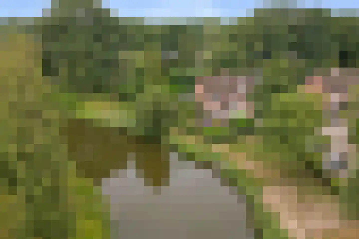 Toverse Beek 14 Tilburg thumbnail 31