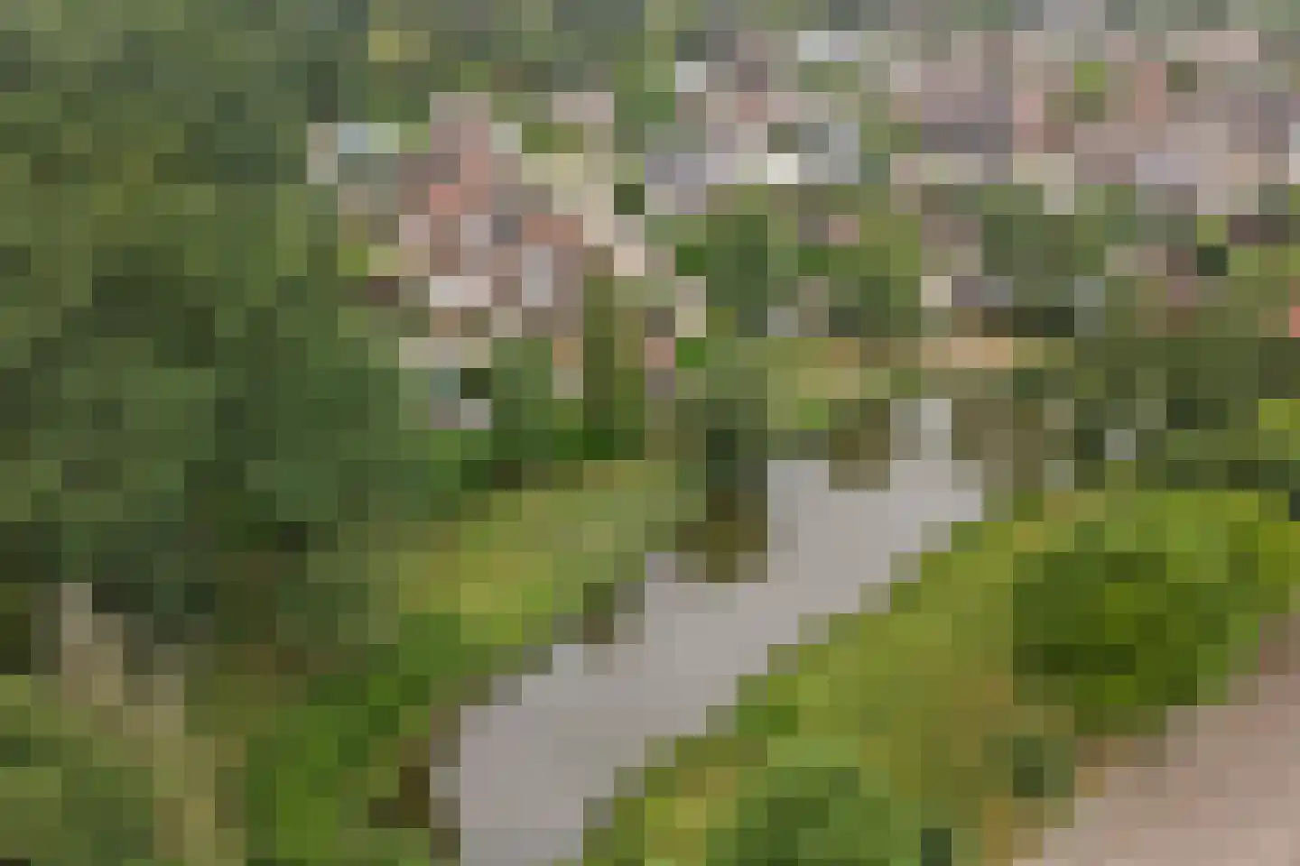 Toverse Beek 14 Tilburg thumbnail 33