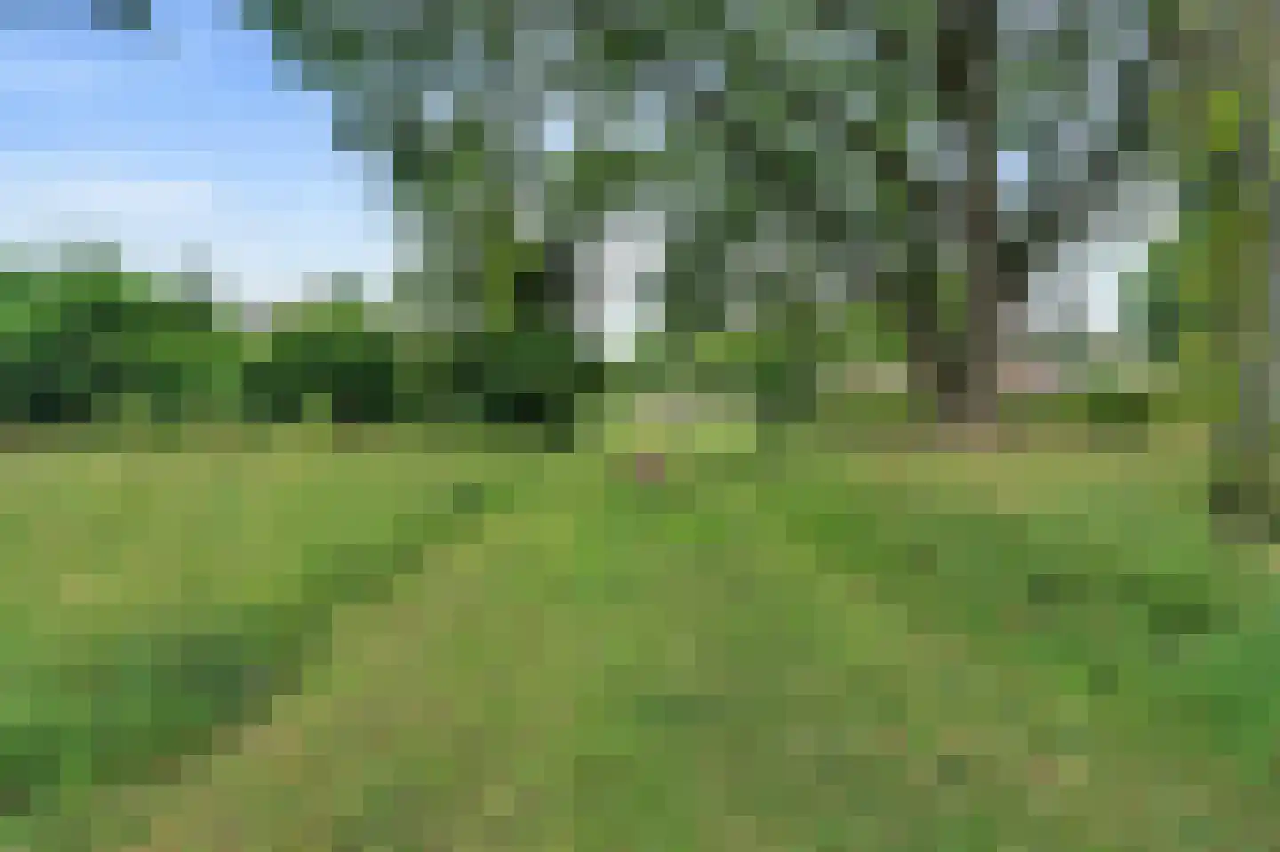 Toverse Beek 14 Tilburg thumbnail 34