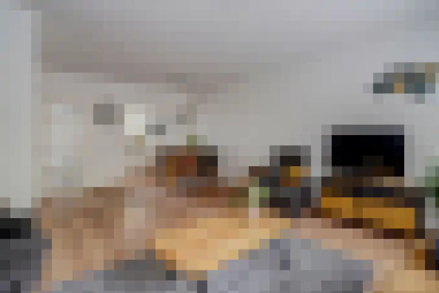 Toverse Beek 14 Tilburg thumbnail 9