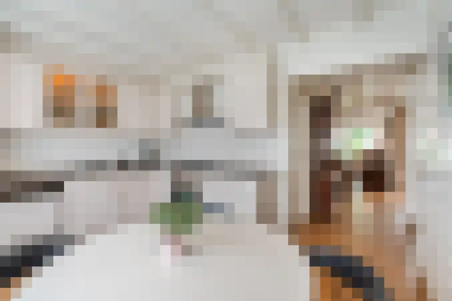 Town-Major Drakestraat 16 Gemert thumbnail 16