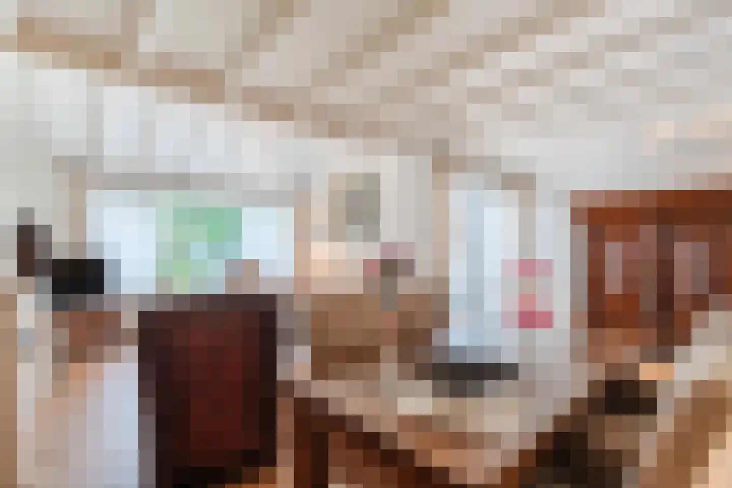 Town-Major Drakestraat 16 Gemert thumbnail 24