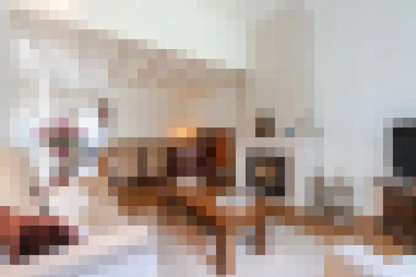 Town-Major Drakestraat 16 Gemert thumbnail 30