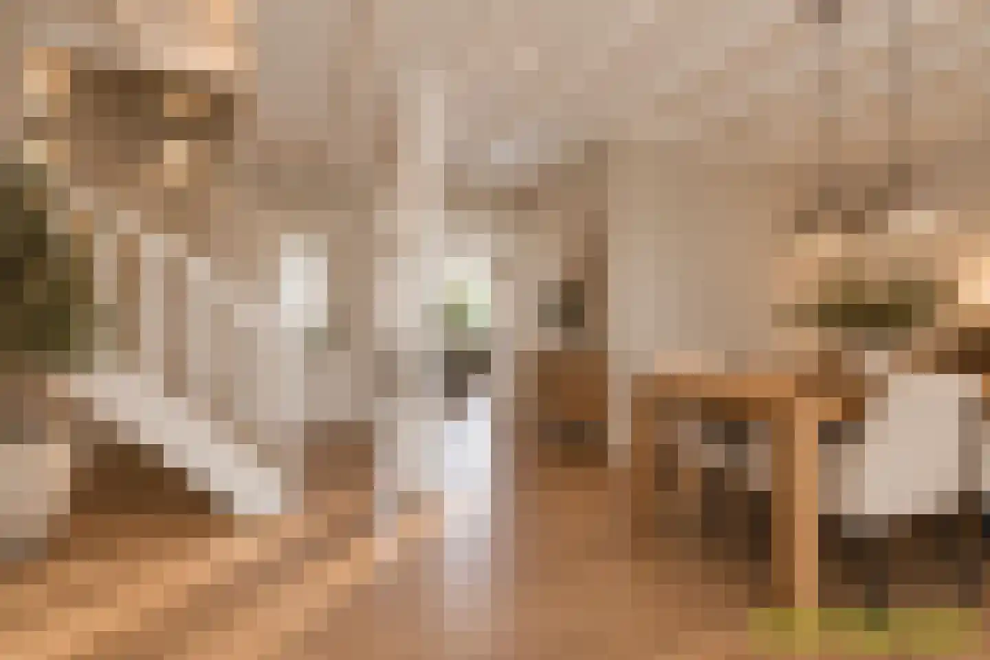 Town-Major Drakestraat 16 Gemert thumbnail 32