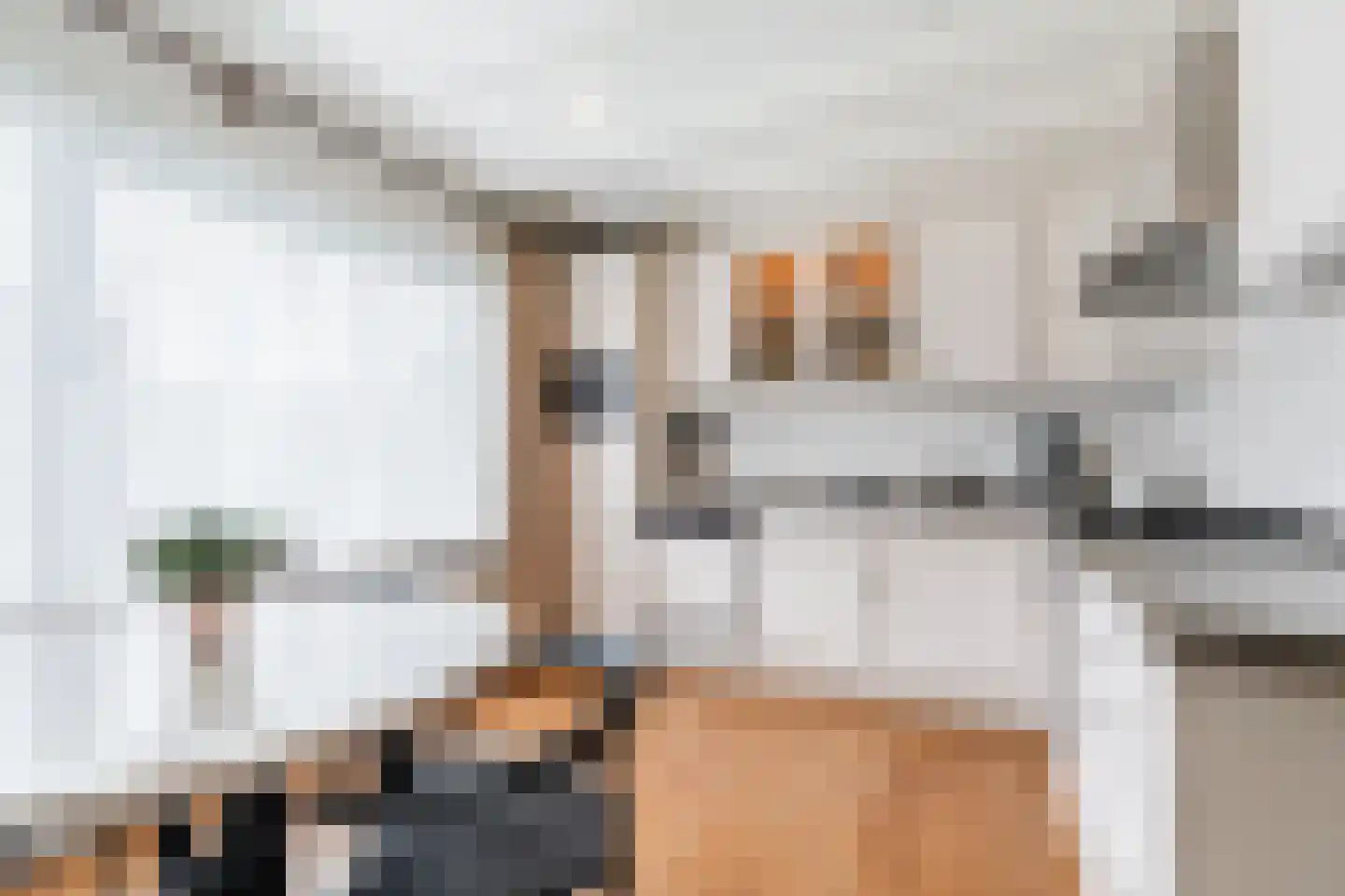 Town-Major Drakestraat 16 Gemert thumbnail 4