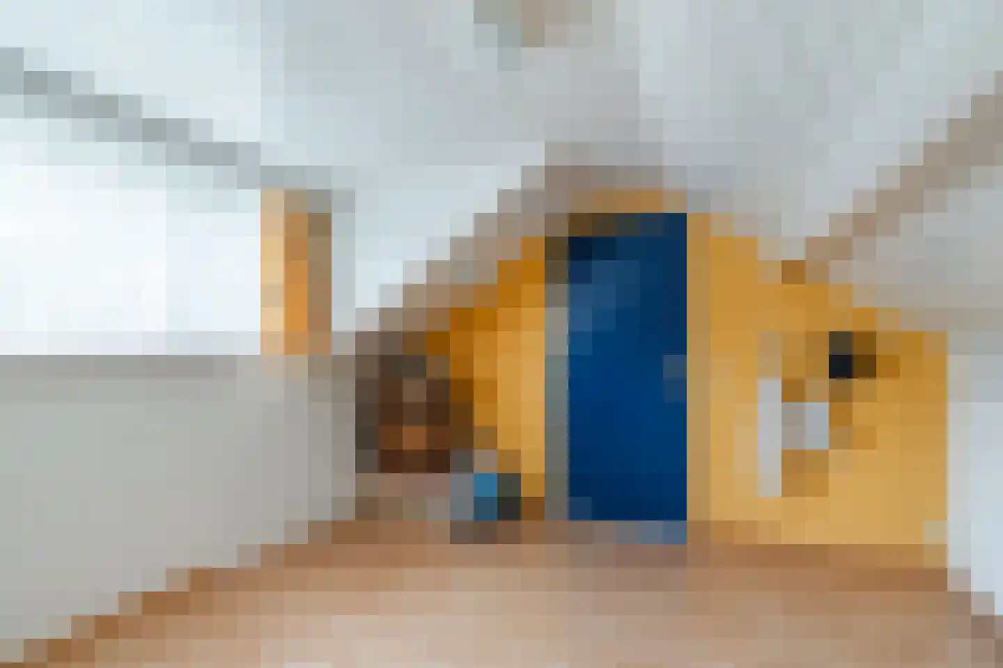 Town-Major Drakestraat 16 Gemert thumbnail 53