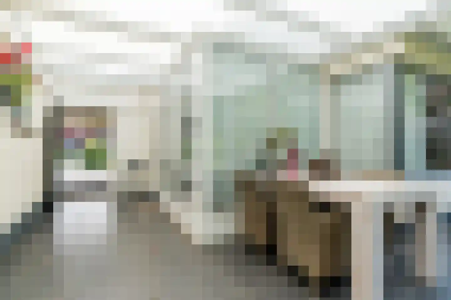 Town-Major Drakestraat 16 Gemert thumbnail 56