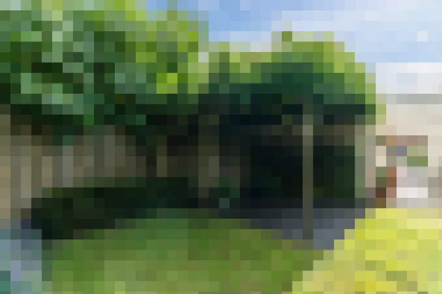 Town-Major Drakestraat 16 Gemert thumbnail 62