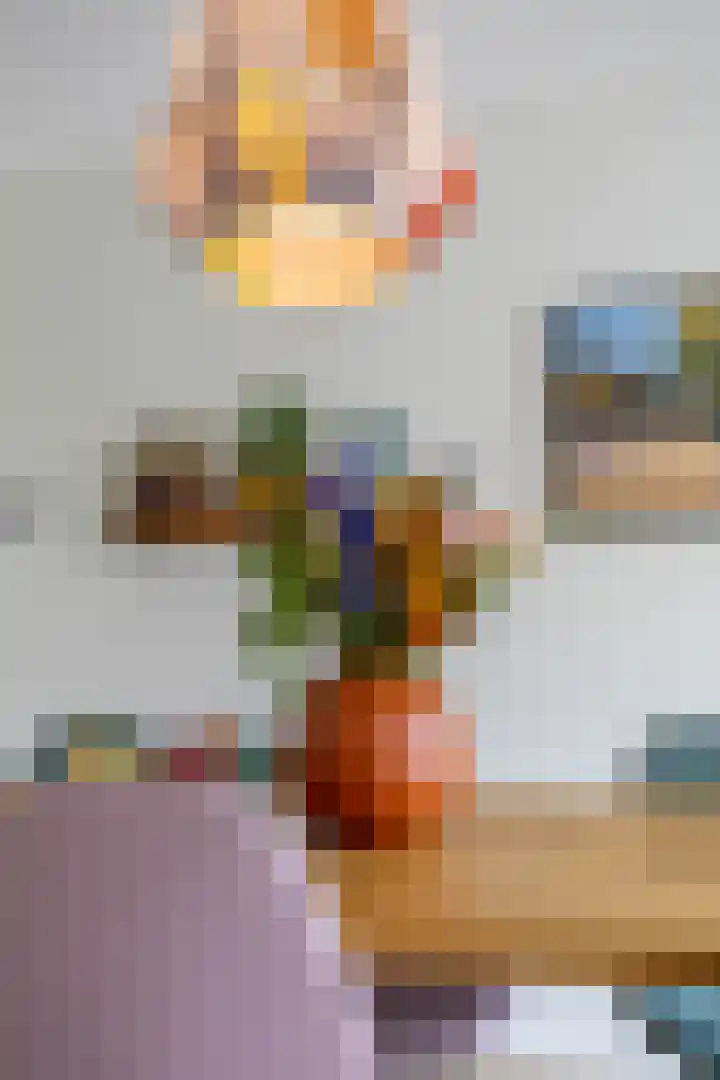 Toxopeusstraat 7 Groningen thumbnail 19