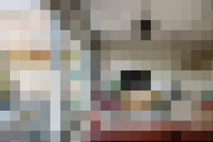 Toxopeusstraat 7 Groningen thumbnail 21