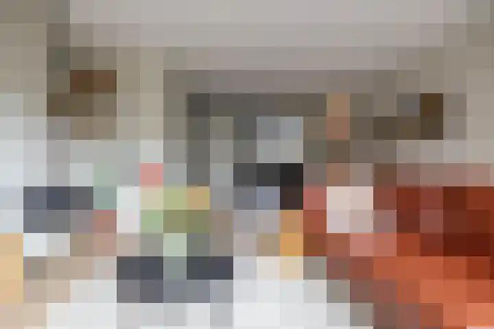 Toxopeusstraat 7 Groningen thumbnail 22