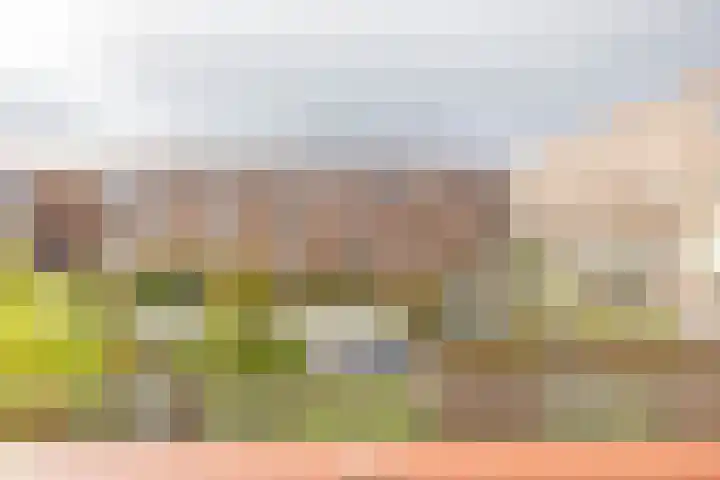 Toxopeusstraat 7 Groningen thumbnail 27