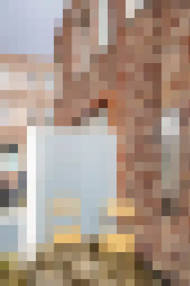 Toxopeusstraat 7 Groningen thumbnail 28