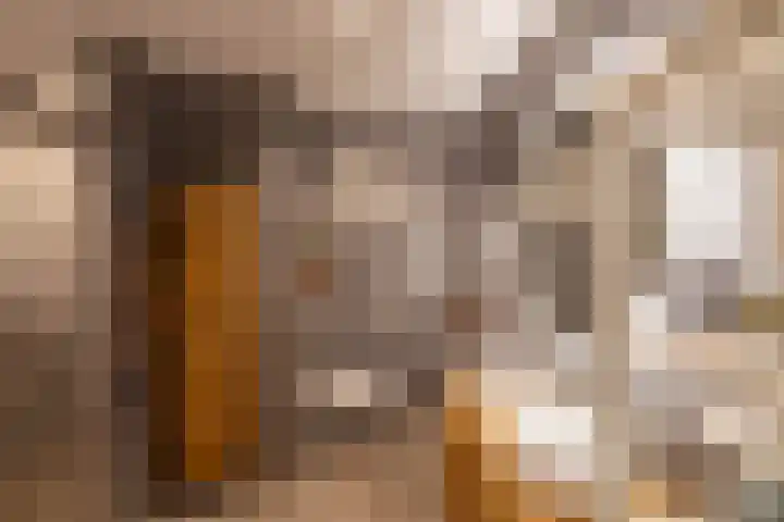 Toxopeusstraat 7 Groningen thumbnail 29