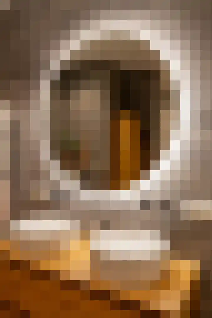 Toxopeusstraat 7 Groningen thumbnail 31