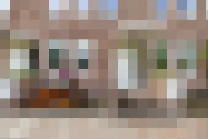 Toxopeusstraat 7 Groningen thumbnail 4