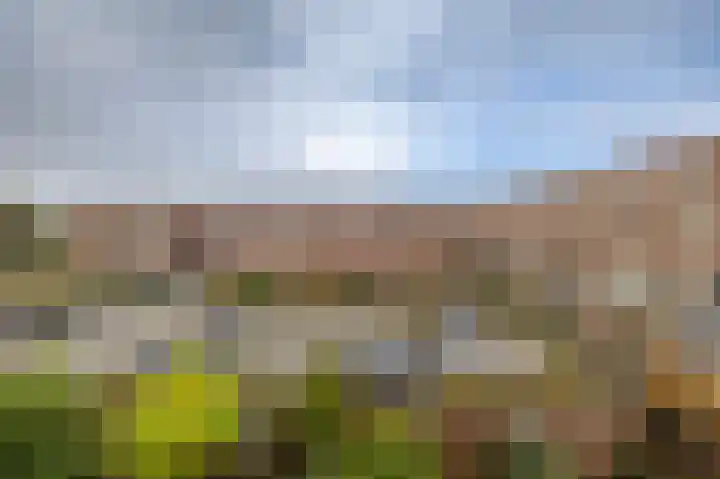 Toxopeusstraat 7 Groningen thumbnail 41