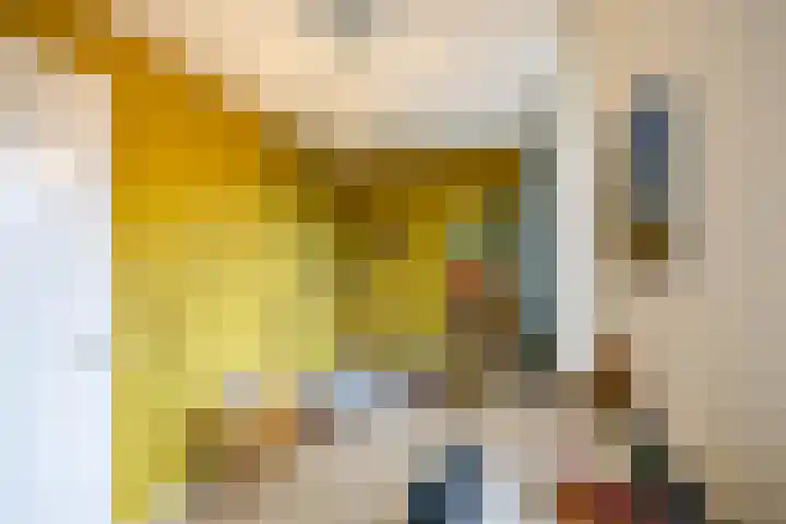 Toxopeusstraat 7 Groningen thumbnail 42