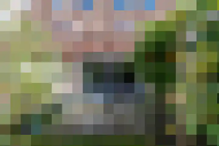 Toxopeusstraat 7 Groningen thumbnail 43
