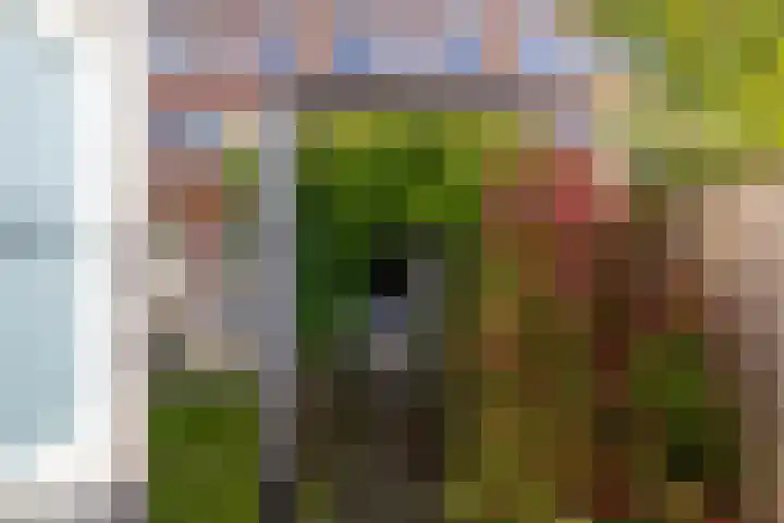 Toxopeusstraat 7 Groningen thumbnail 44