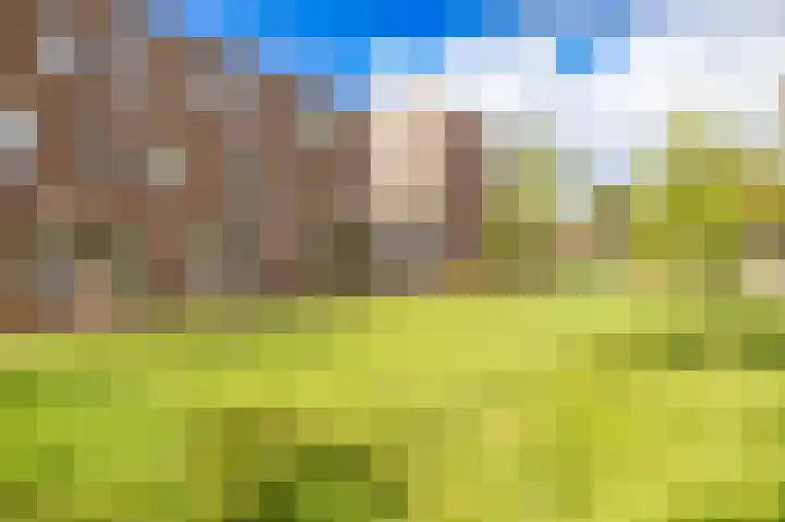 Toxopeusstraat 7 Groningen thumbnail 47