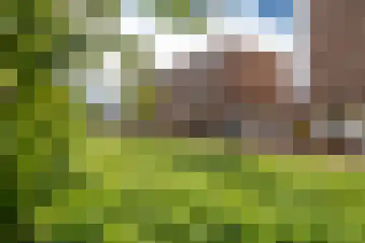 Toxopeusstraat 7 Groningen thumbnail 48