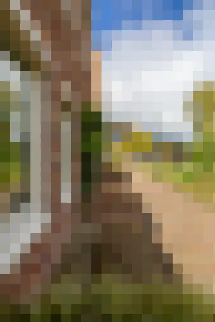 Toxopeusstraat 7 Groningen thumbnail 50