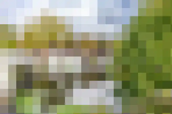 Toxopeusstraat 7 Groningen thumbnail 51