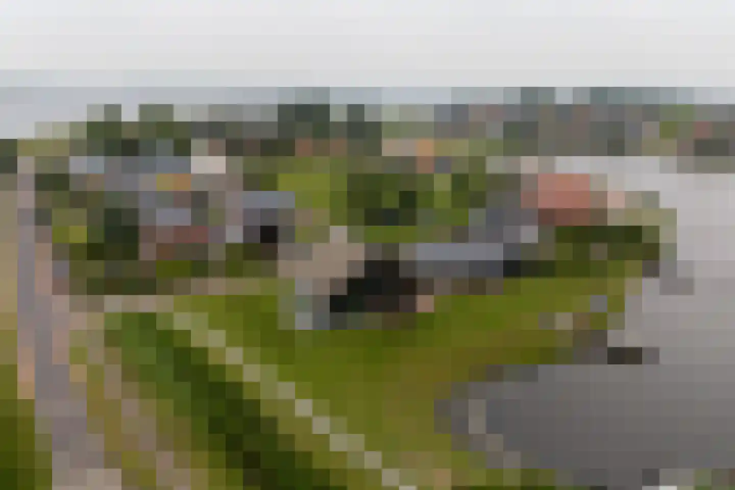 Toxopeuswei 1 Eanjum thumbnail 11