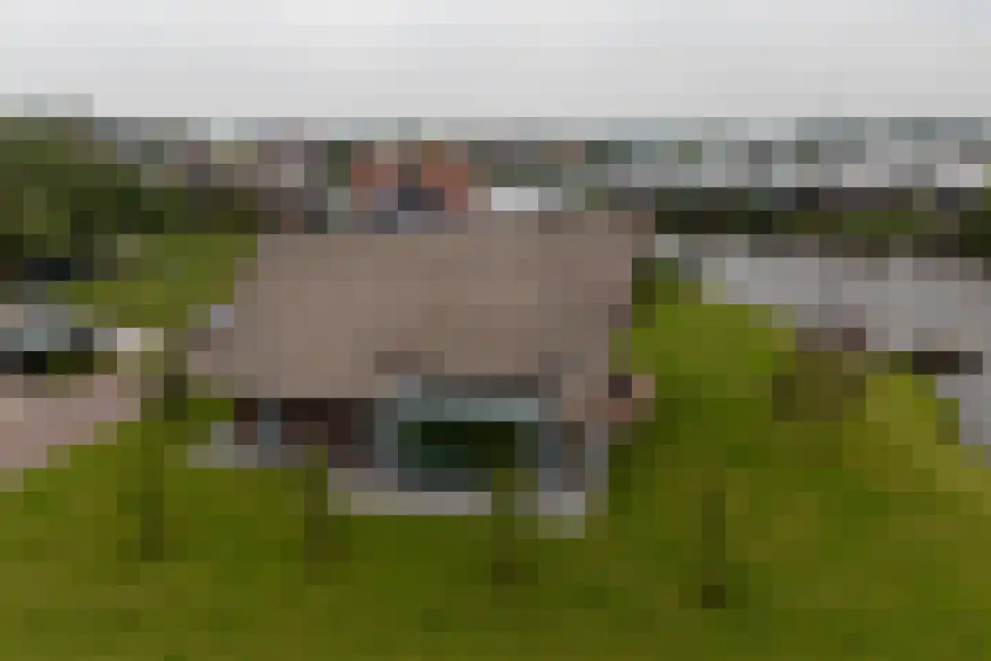 Toxopeuswei 1 Eanjum thumbnail 12